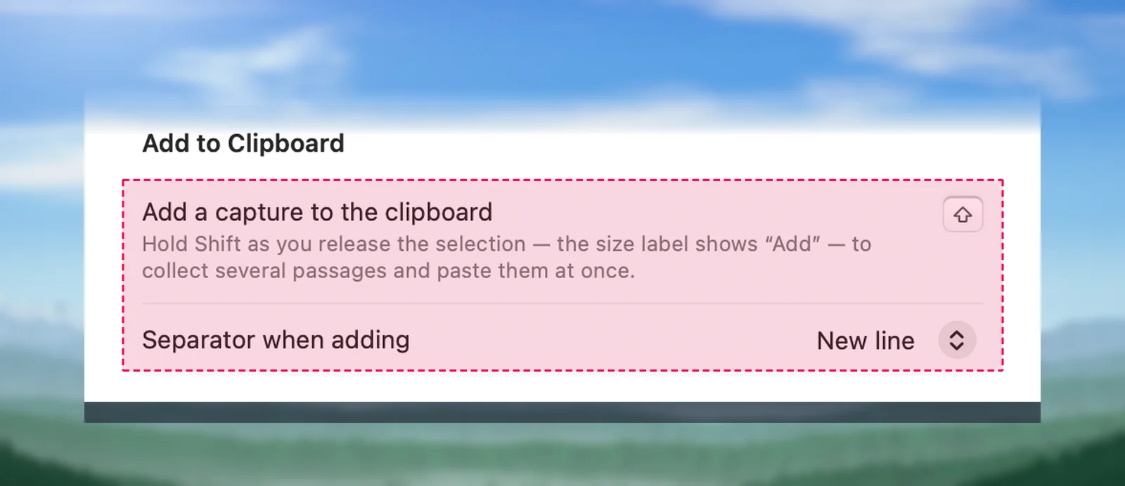 The separator setting in General settings