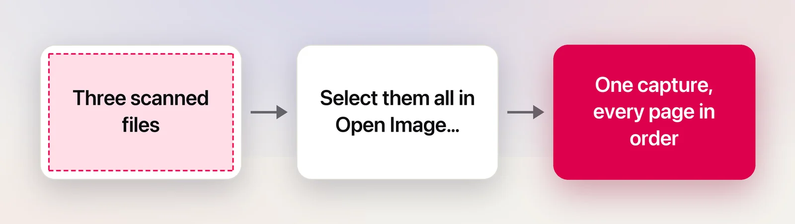 Three scanned files read as a single capture