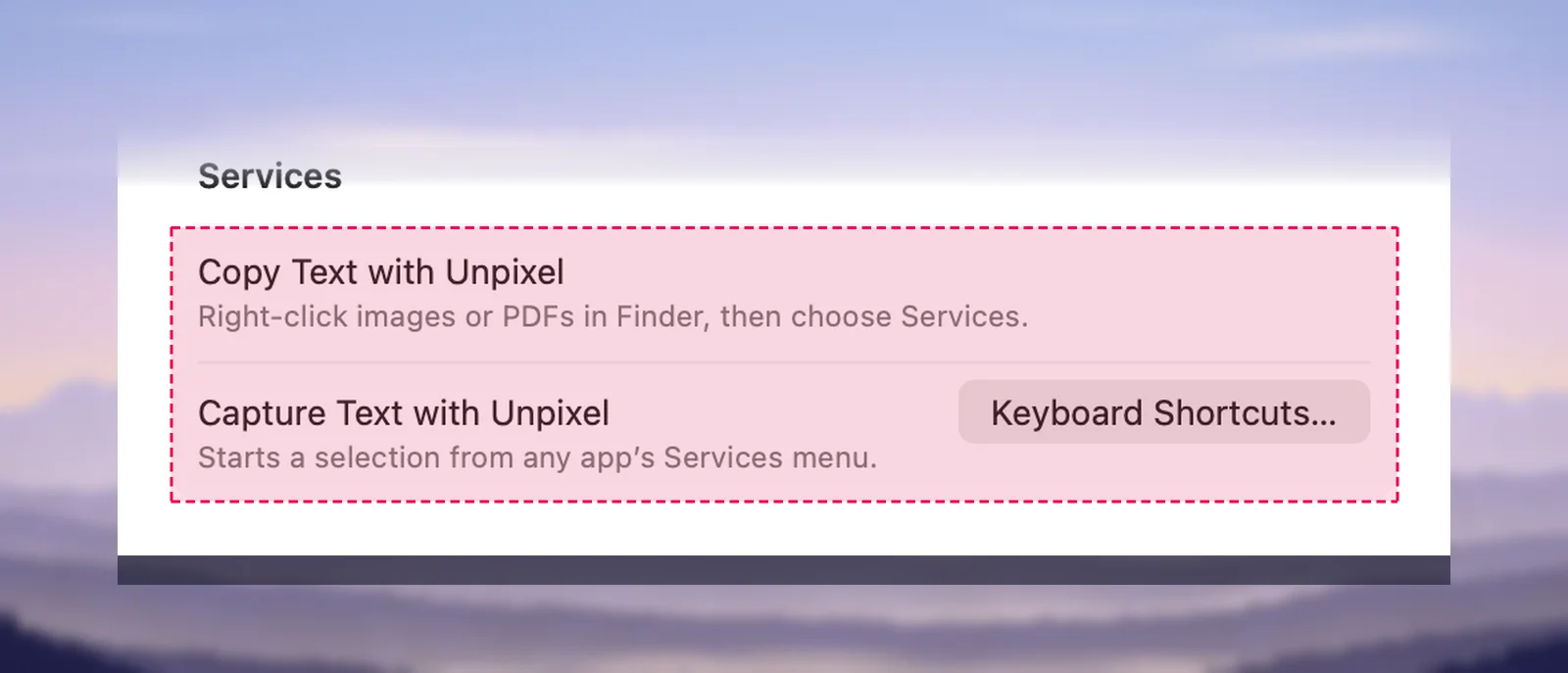 The Services rows in Unpixel’s About settings