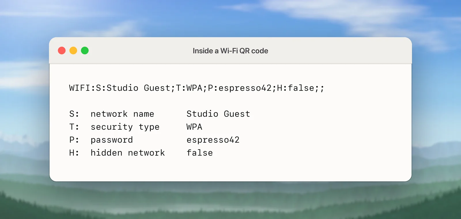 The fields inside a Wi-Fi QR code