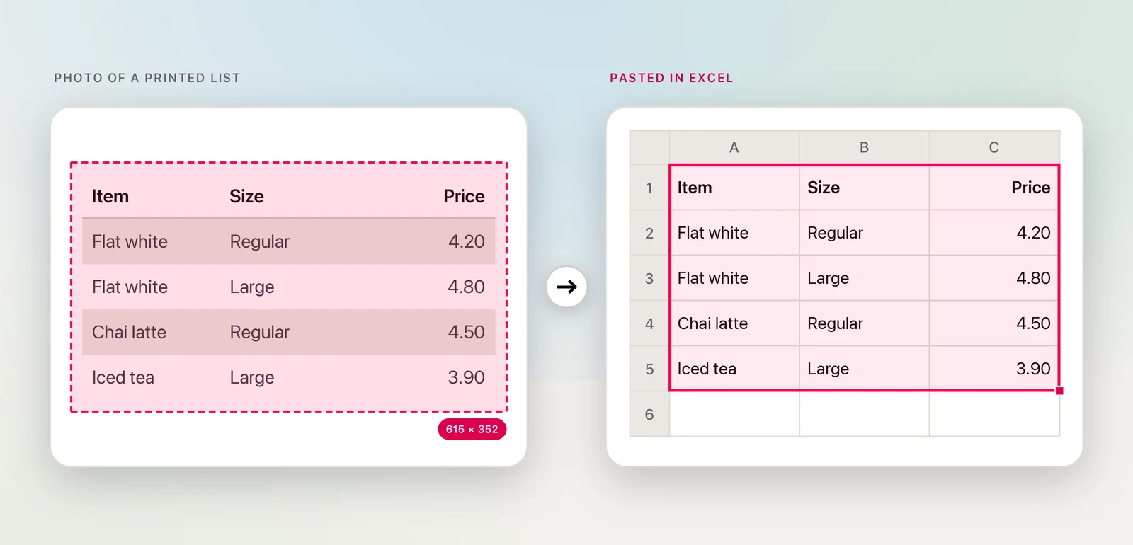 A photographed price list pasted as Excel cells