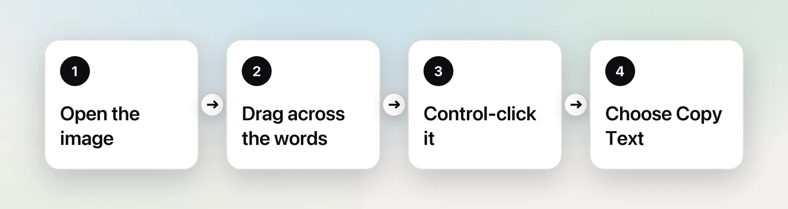 Four steps to copy text with Live Text