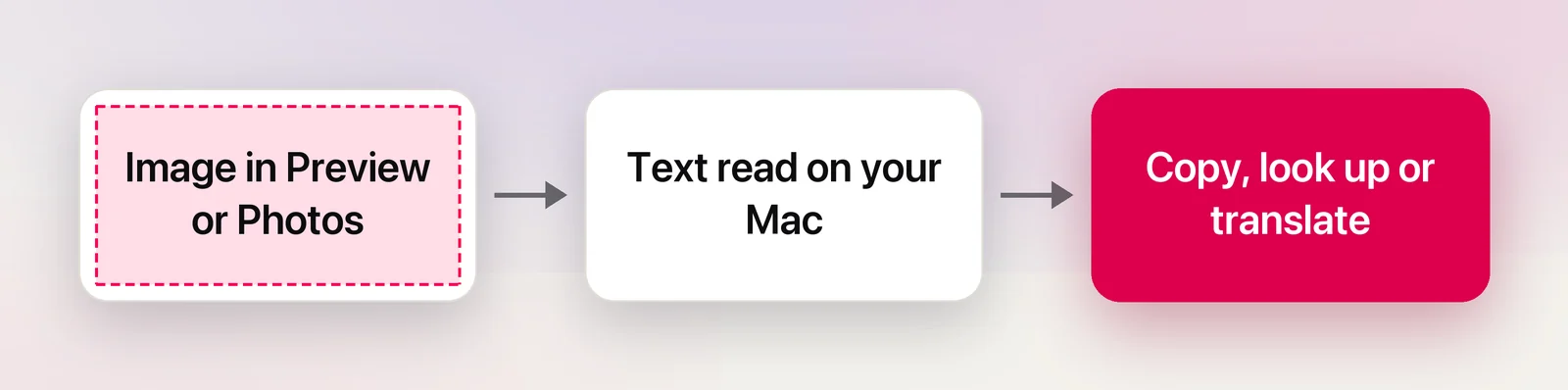 How Live Text handles an image