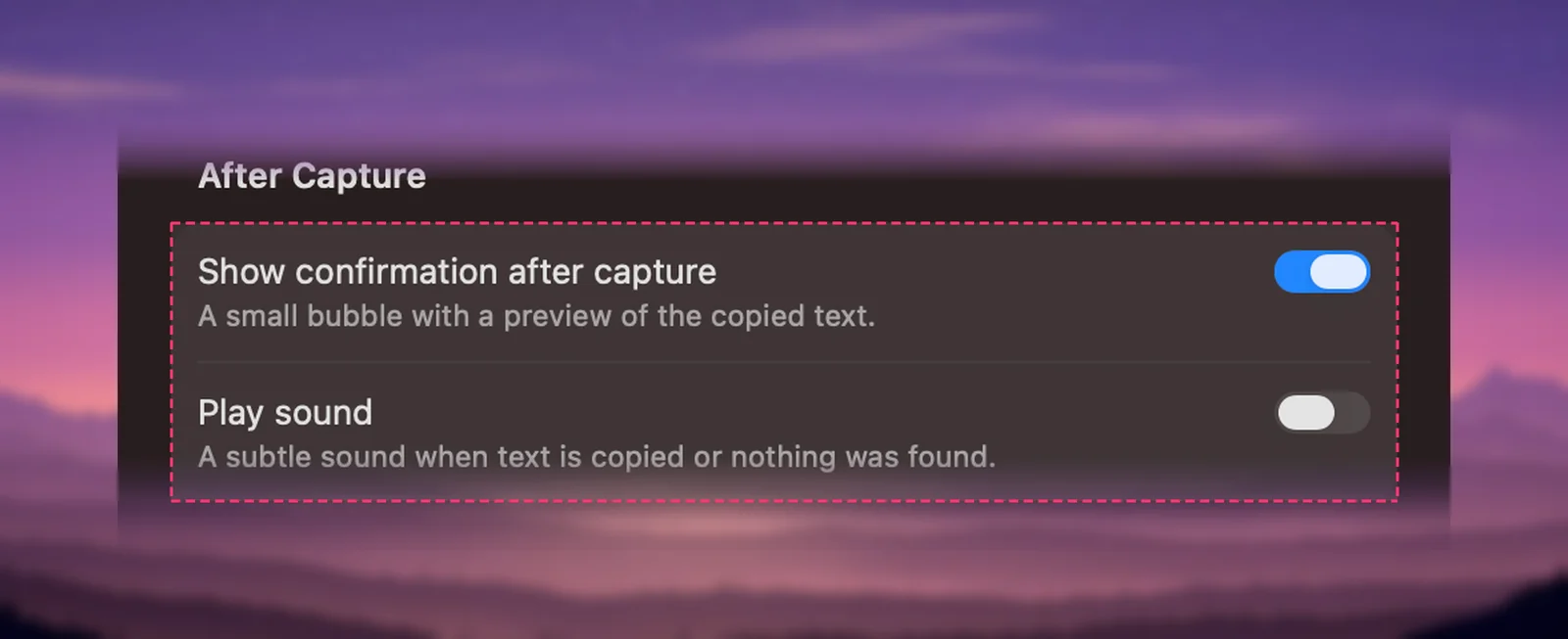 After Capture settings