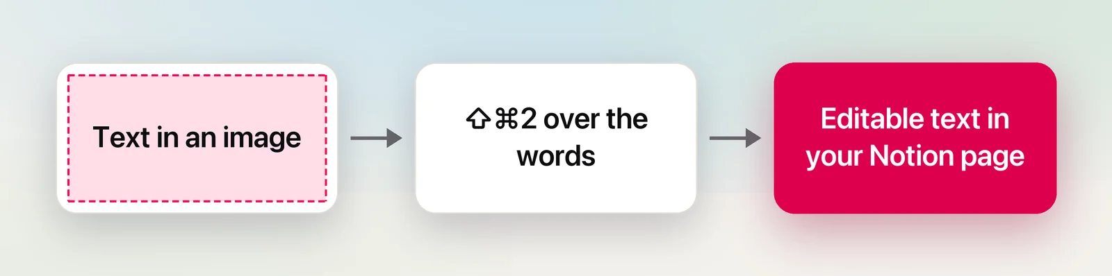 From image text to editable Notion text
