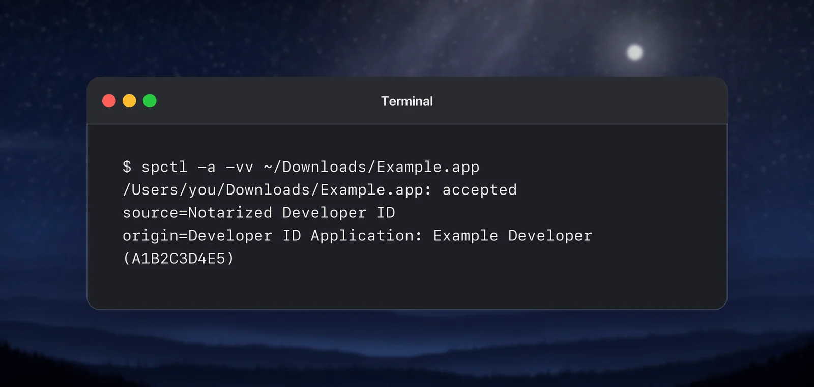Terminal output from spctl for a notarized app