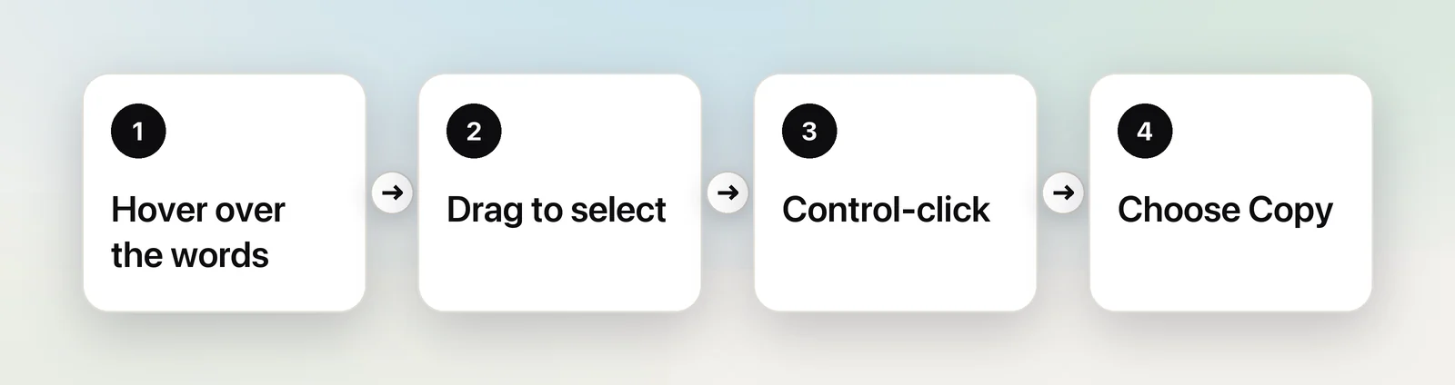 Live Text in Safari in four steps