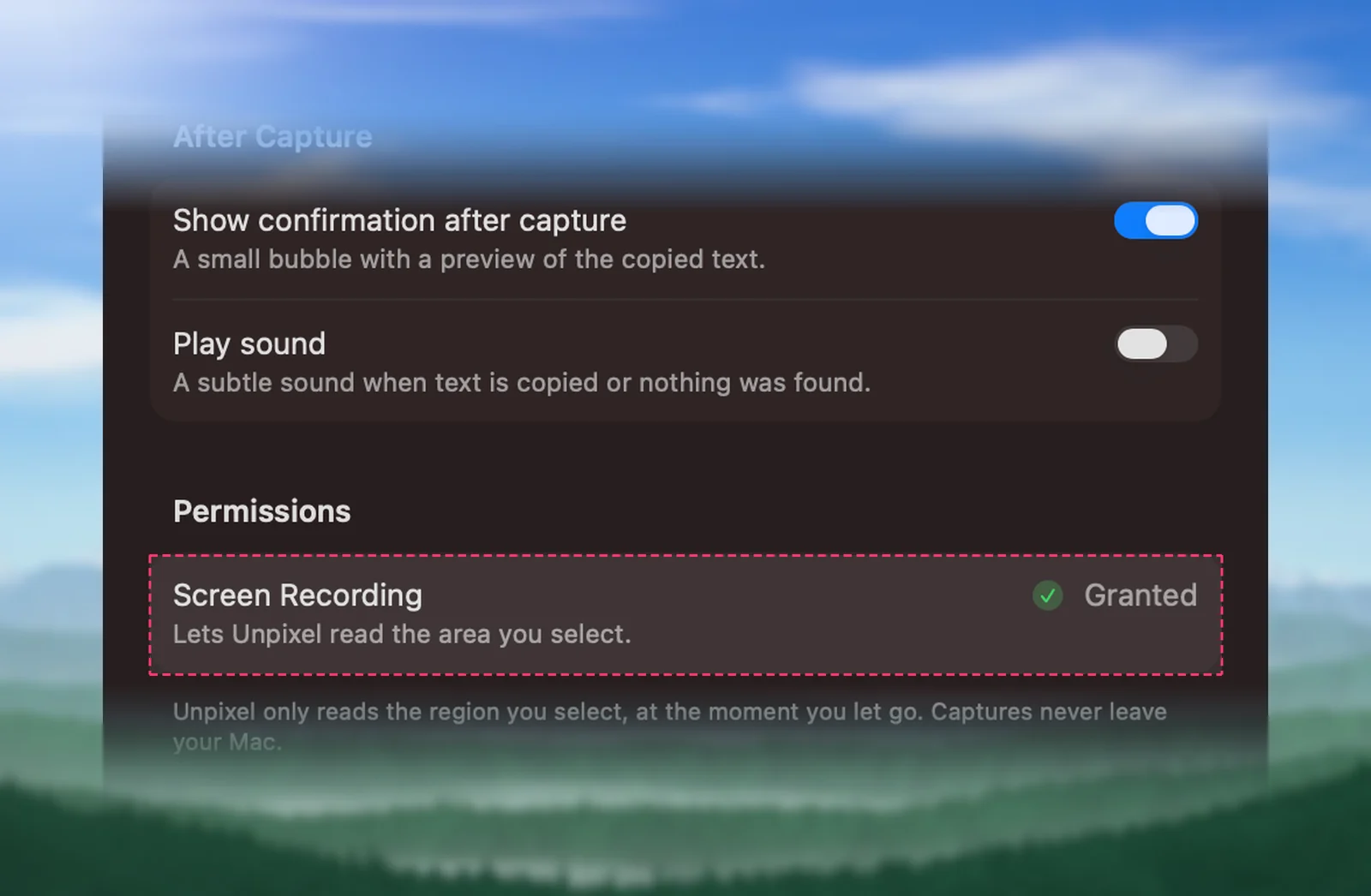 Unpixel’s Screen Recording status in Settings