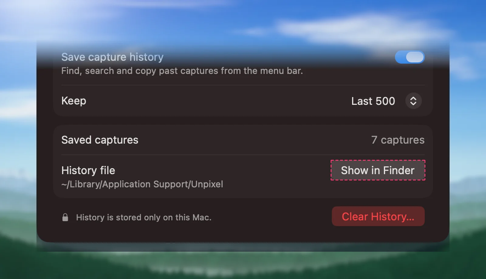 The History file row in Unpixel’s settings
