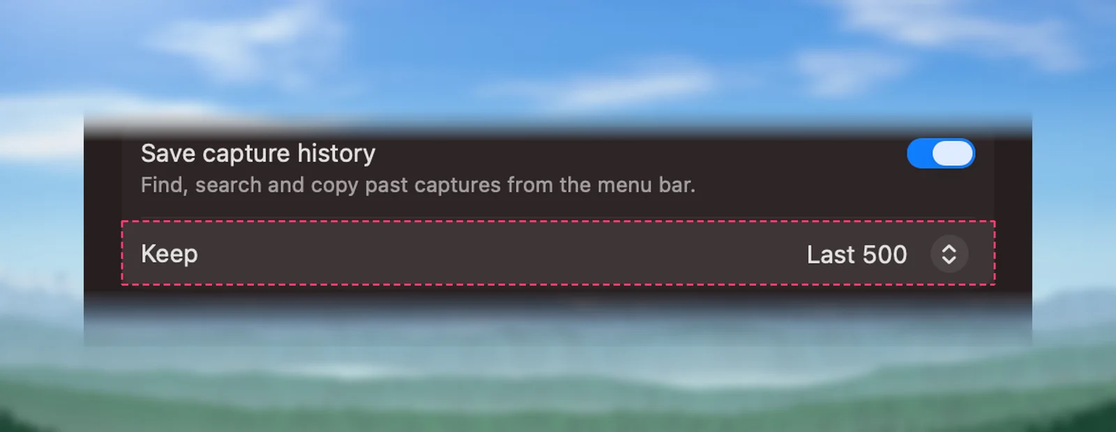 Unpixel’s history size setting